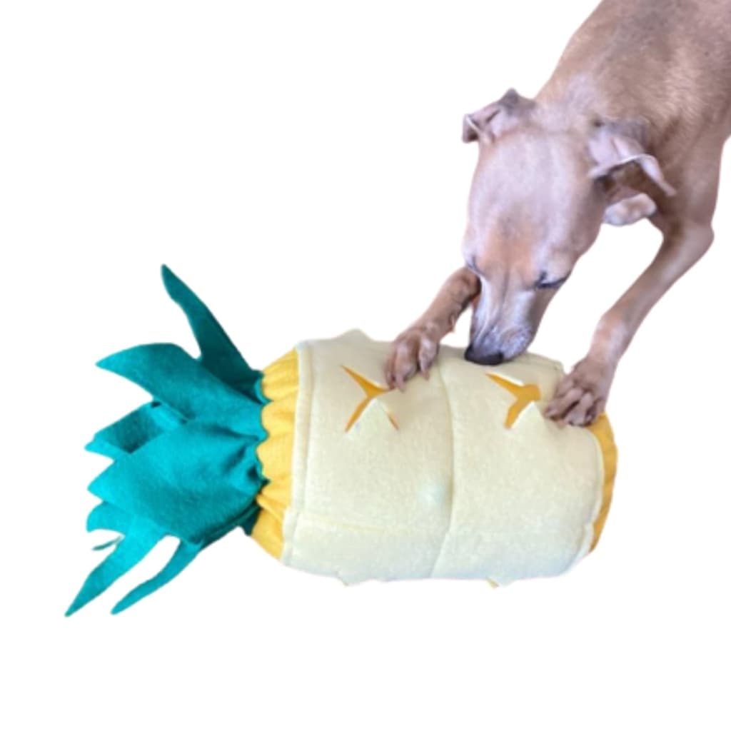 Pelúcia para Cães Cachorro Porta Petisco Interativo recheavel pelúcia com apito para cachorro