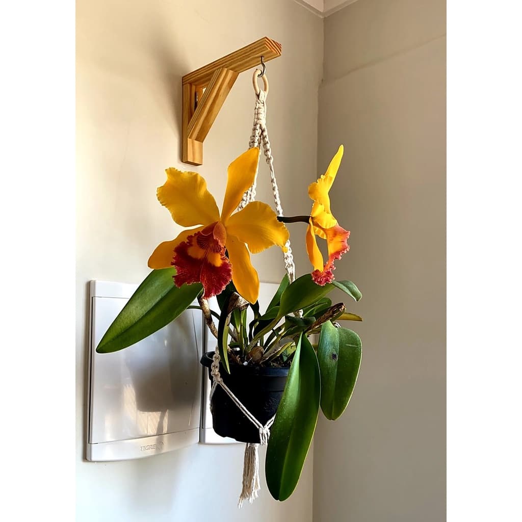 Suporte para Plantas, Mão Francesa de Madeira, Suporte para Macrame