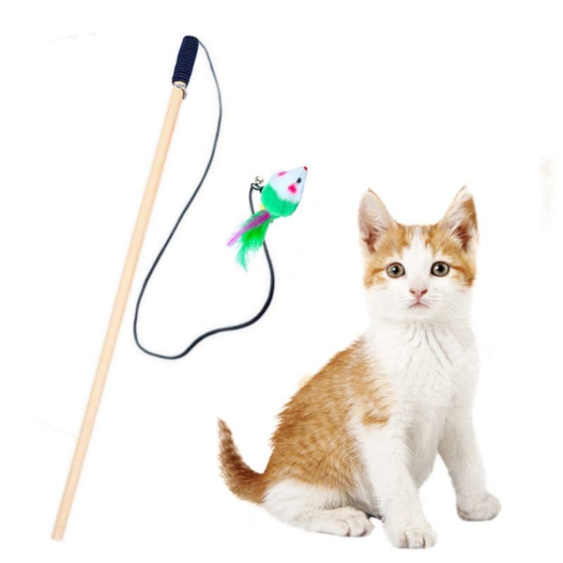 Varinha Brinquedo para Gato com ratinho - pet Gato vareta
