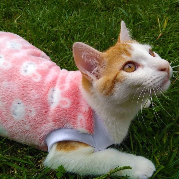 Roupa pet para cachorro e gato de fleece de inverno