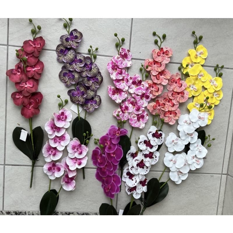 Orquídea c/2 galhos c/folha do orquídea