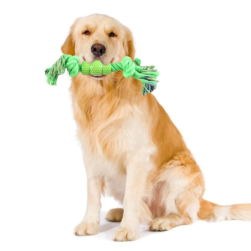 brinquedo de osso com cordas engraçado  interativo lavável  pro seu cachorro/ cãozinho de estimação pra mastigação pra treinamento do se pet