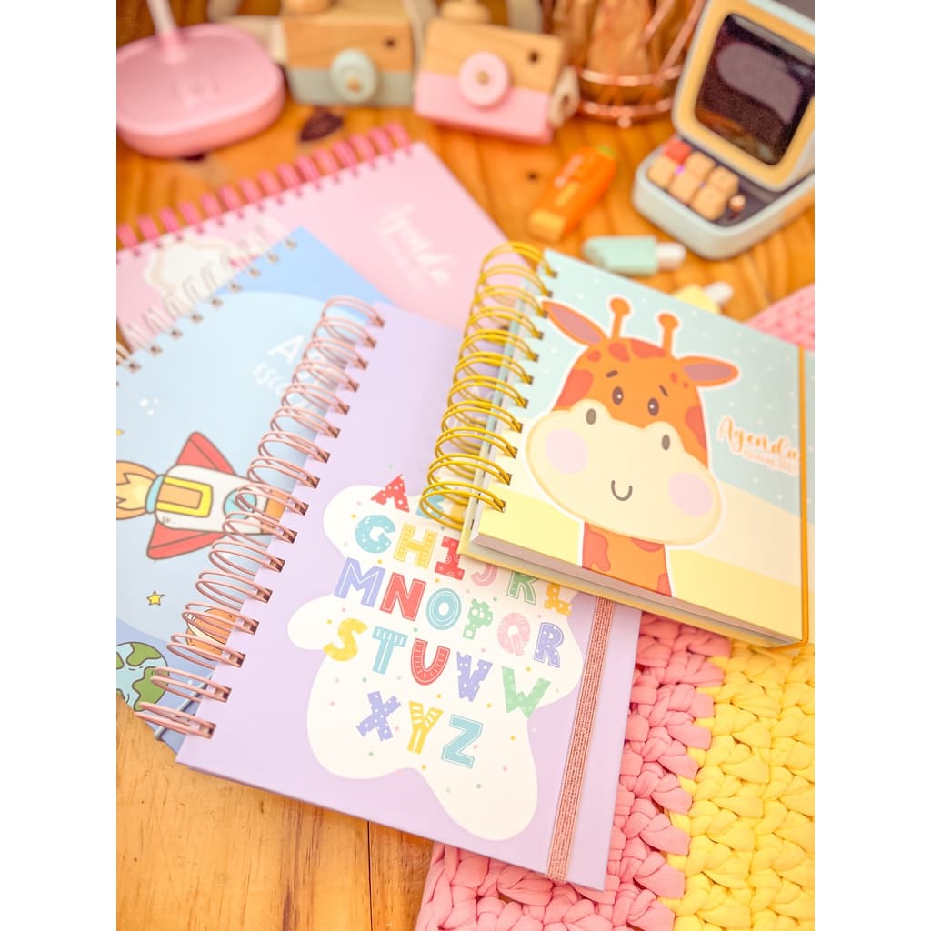 Agenda escolar 2024 personalizada com nome várias capas, escolha a sua!!