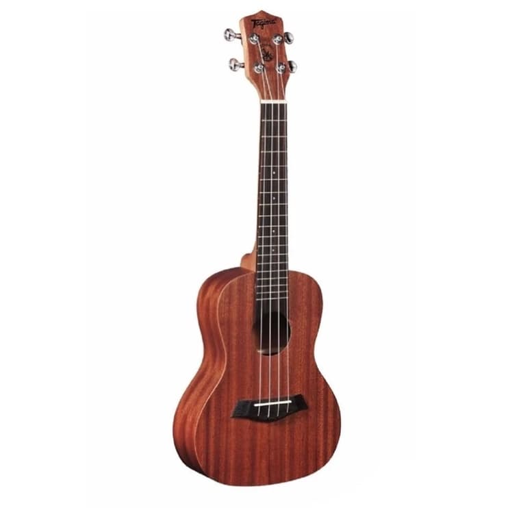 Ukulele Acústico 23K Cordas de Nylon NTS Fosco Concert Havaí - Tagima