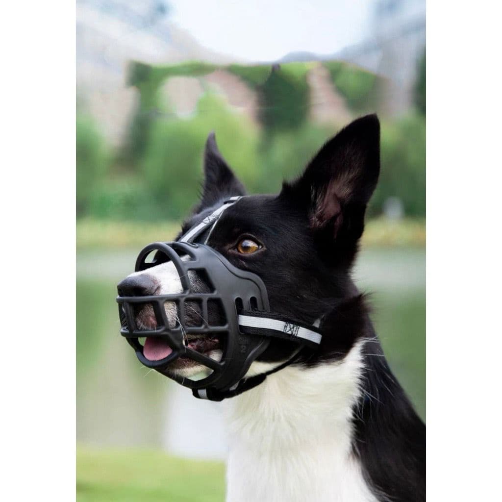 FOCINHEIRA PARA CACHORRO PORTE MEDIO E GRANDE