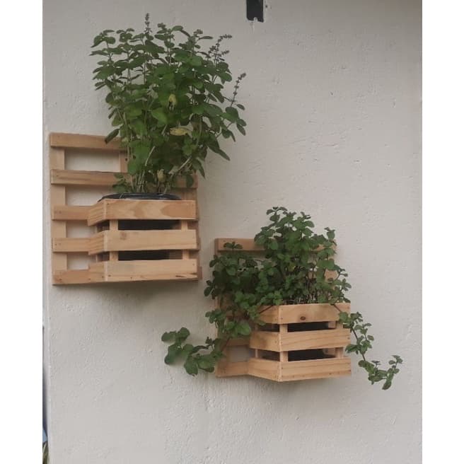 kit 2 suporte pra planta suporte orquídeas parede