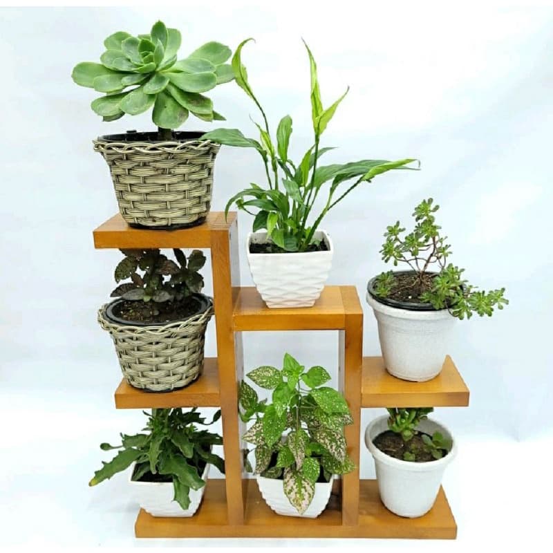 suporte pra planta prateleira suculentas