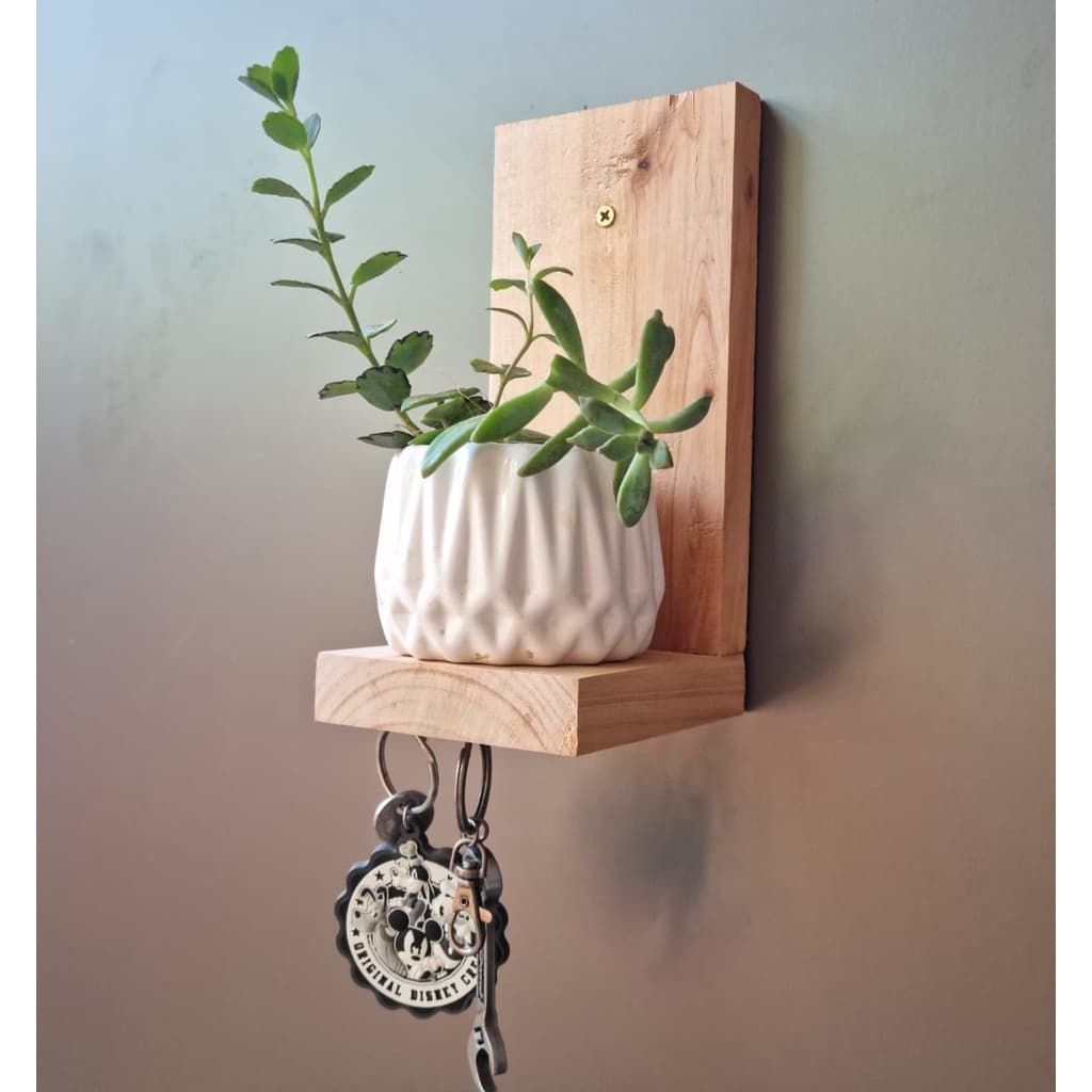 Porta chaves magnético com espaço para planta decorativo