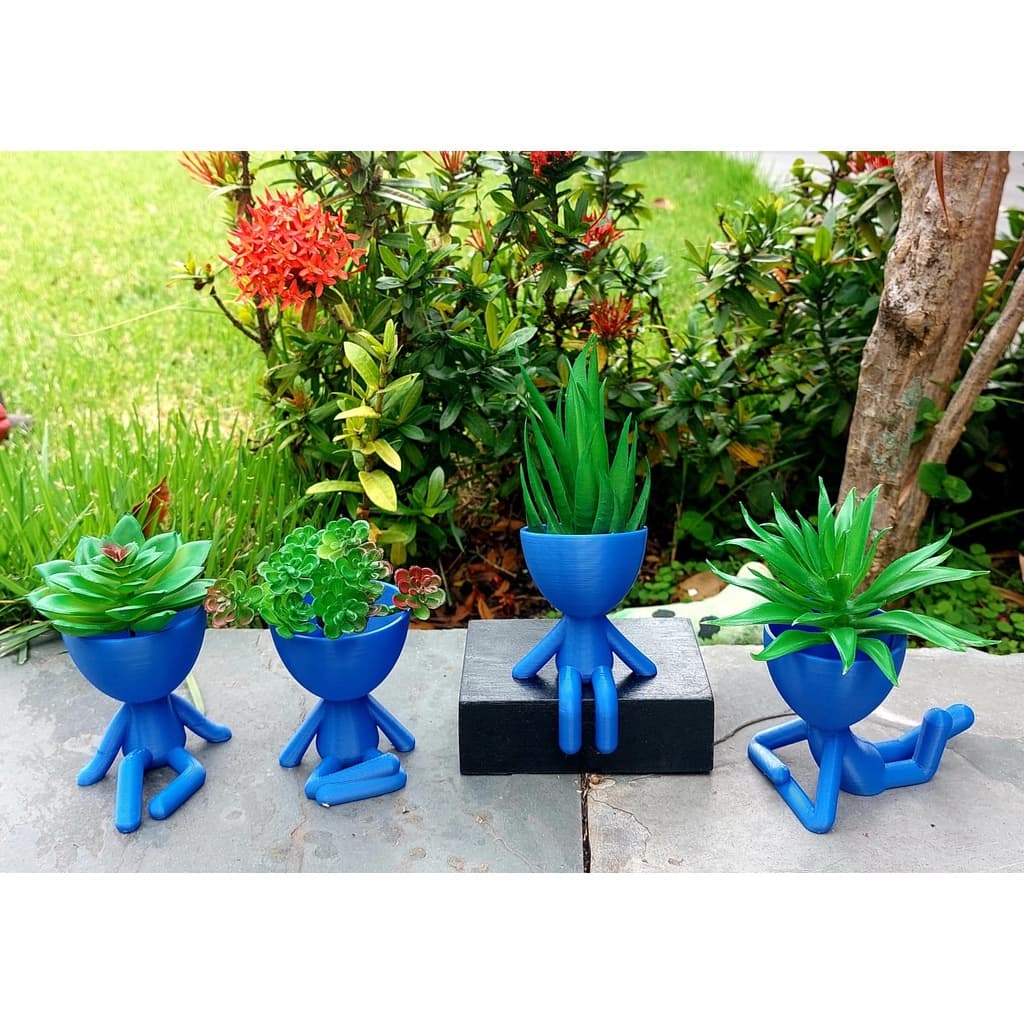 Robert Plant Kit com 4 mini Vasinhos Decorativos 6cm para Cactos e Suculentas