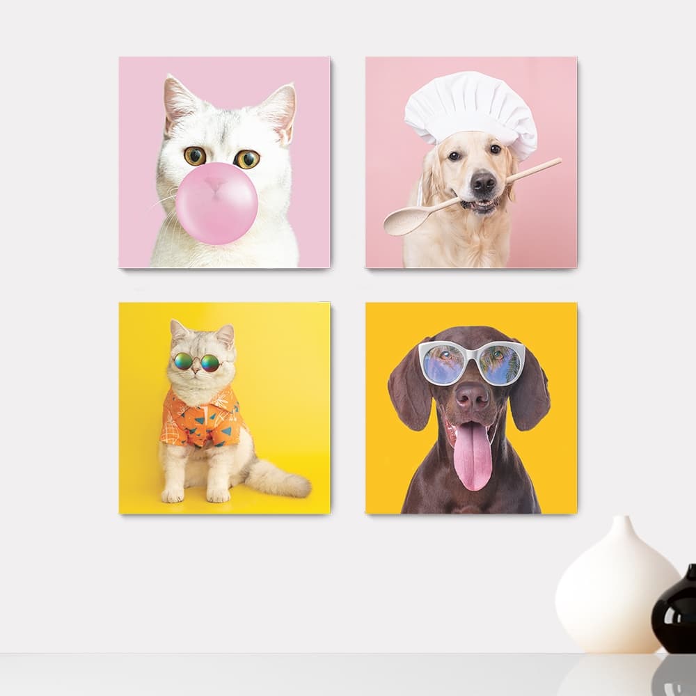 Kit 4 Quadros Decorativos Pet Shop Veterinário Cachorros Gatos Placas - 0013ktpl4