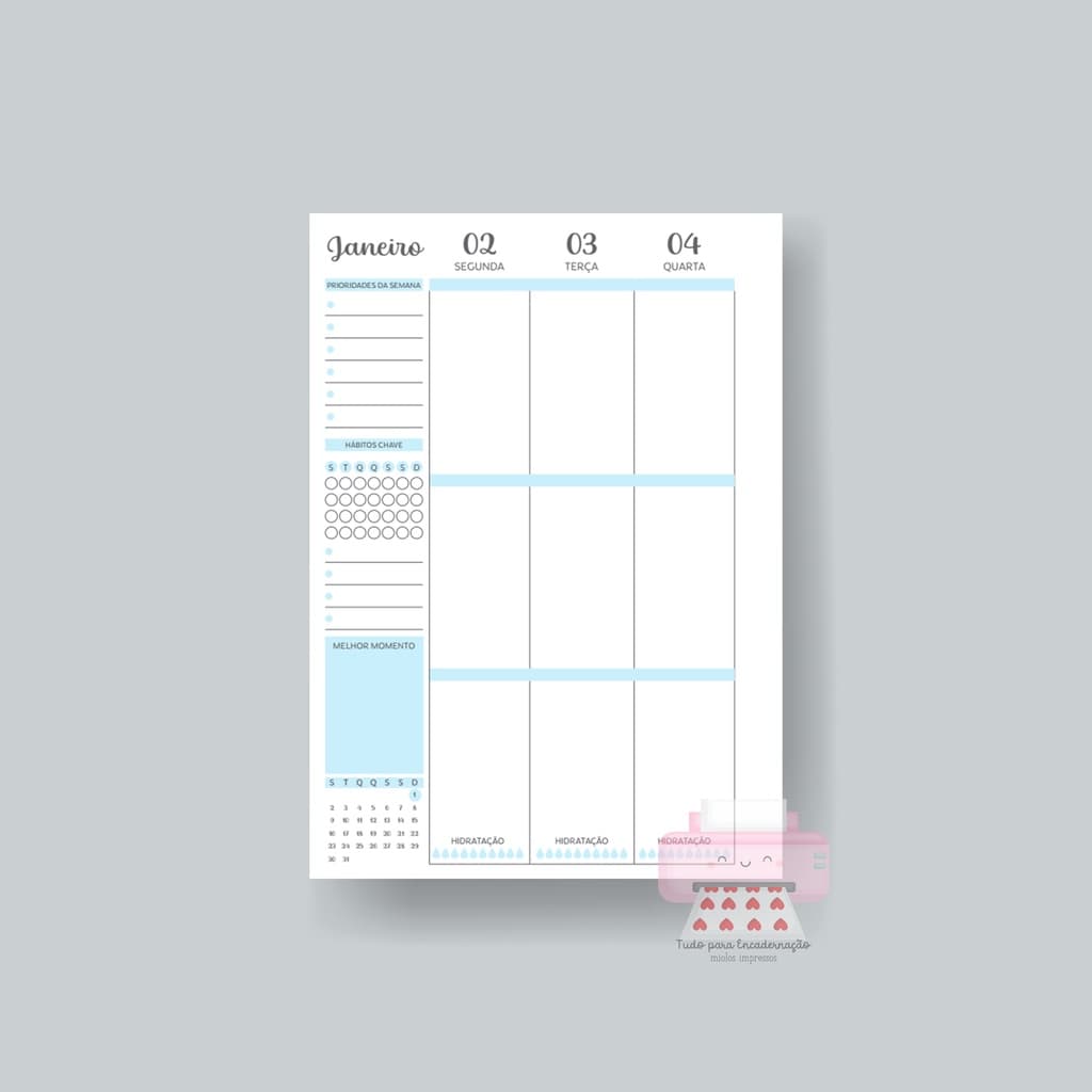 Refil de Planner 2024 - Modelo Box - Ideal para caderno de discos, tipo sistema inteligente