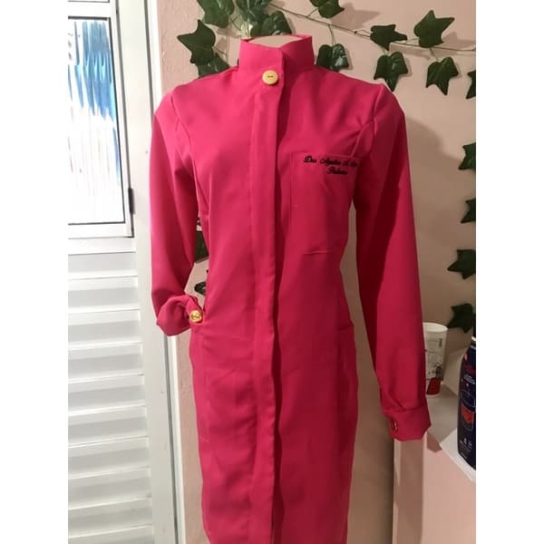 jaleco princesa + bordado/ jaleco para dentista médico enfermeiro designer.