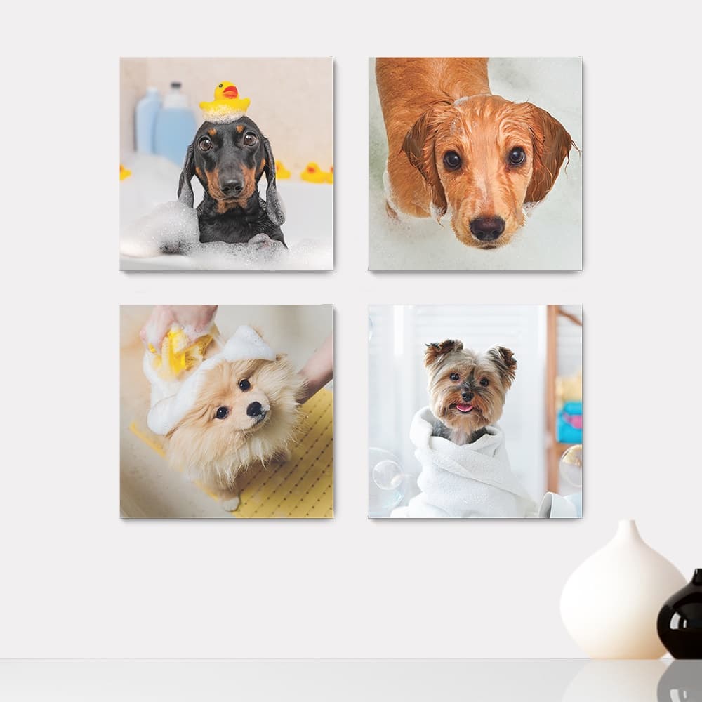 Kit 4 Quadros Decorativos Pet Shop Veterinário Cachorros Gatos Placas - 0012ktpl4