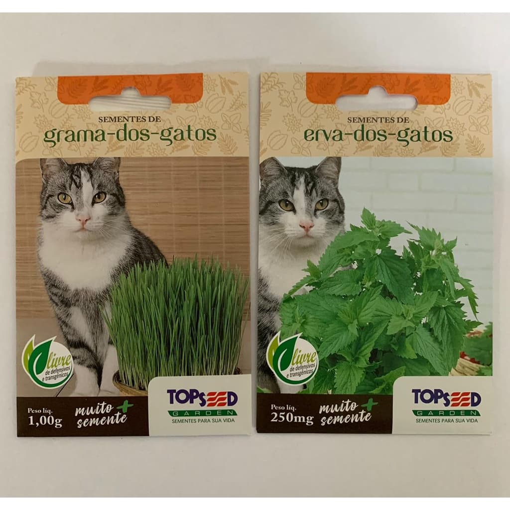 Kit Sementes De Grama E Erva Dos Gatos Catnip 1000 sementes de cada