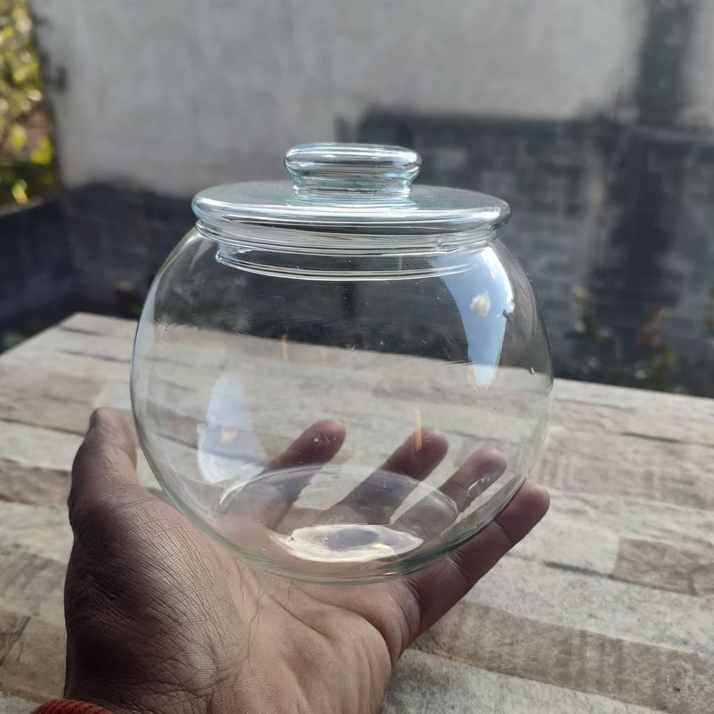 Vaso Aquario Para Terrario Caçula Com Tampa - Vidro Redondo