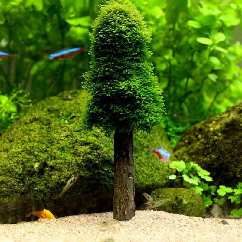 Simulação De Aquário Musgo Árvore De Natal Planta Crescer Tanque Paisagem Decoração Do Adereços Suprimentos
