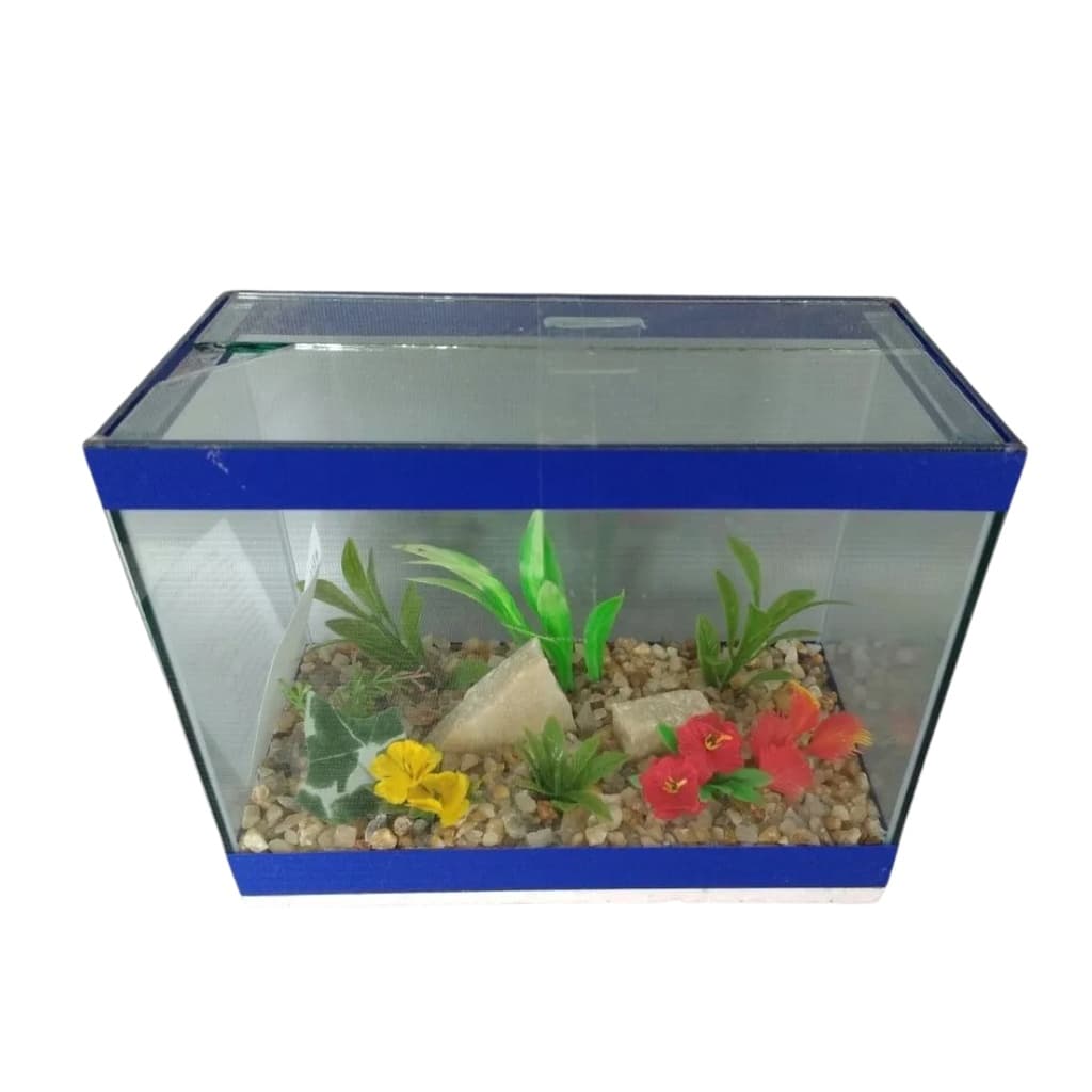 Aquário Mini Beteira Jardim Retangular 3lts Decorado