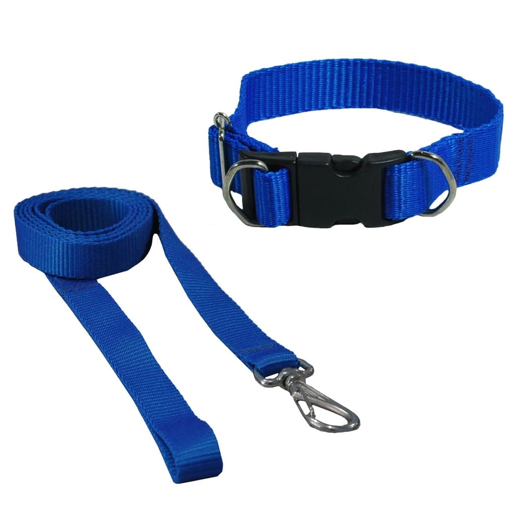 Coleira com Guia para Cachorro Médio e Grande Ajustável Resistente Nylon Passeio Pet Cães Coleira G com Guia Segurança