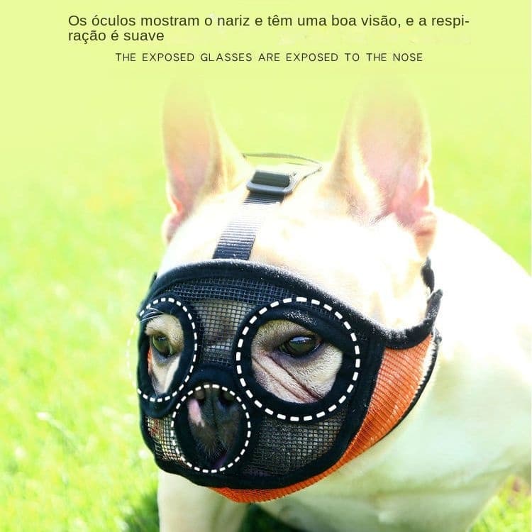 Focinheira Bulldog Shih Tzu Pug Pequinês Cães Braquicefálicos