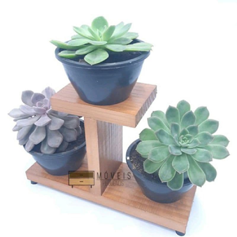 suporte suculenta  prateleira planta