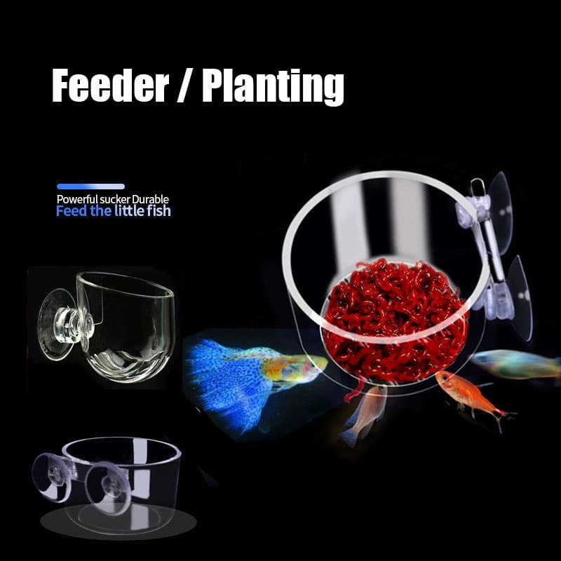 Mini Pote Acrílico De Cristal Para Tanque De Peixes , Plantas Aquáticas , Cilindro De Plantio De Aquário , Copos De Alim