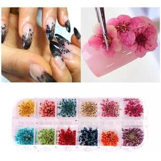 Flor Seca Para Decoração De Unhas Nail Art