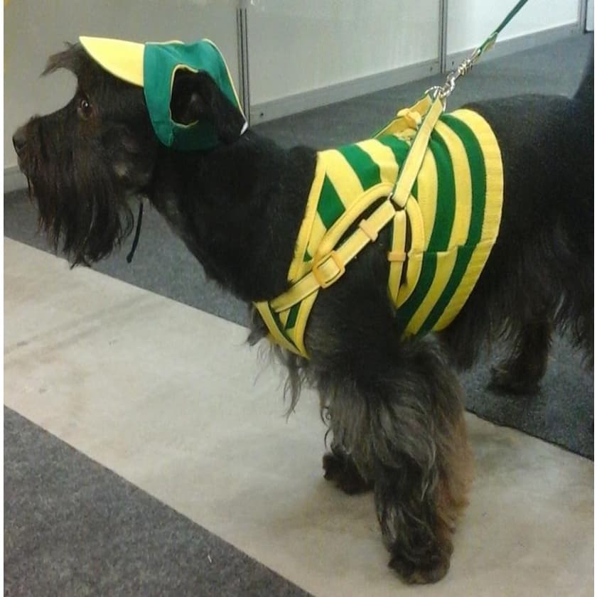 Roupinha  Para Cachorro Gato Camiseta Regata do Brasil