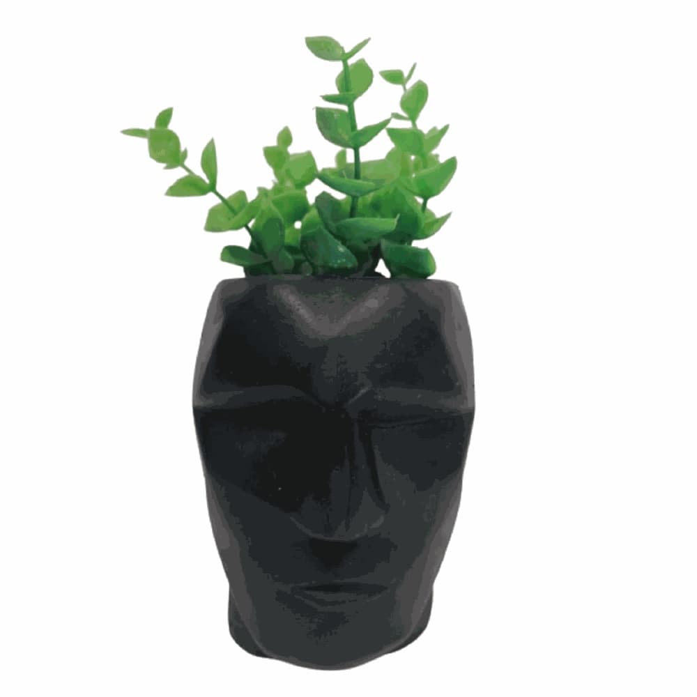 Cachepot Cabeça 3D
