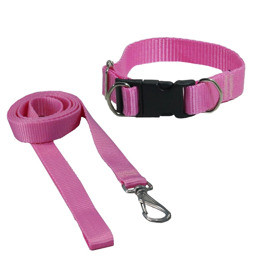 Coleira Com Guia Ajustável Para Cachorro Pequeno ou Médio Confortável e Resistente