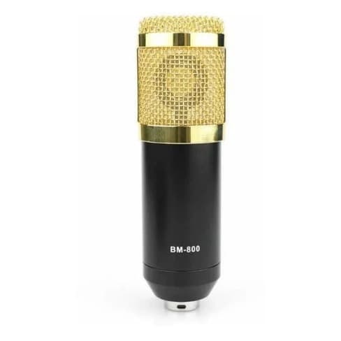Microfone Condensador Profissional Bm800 Pop Filter