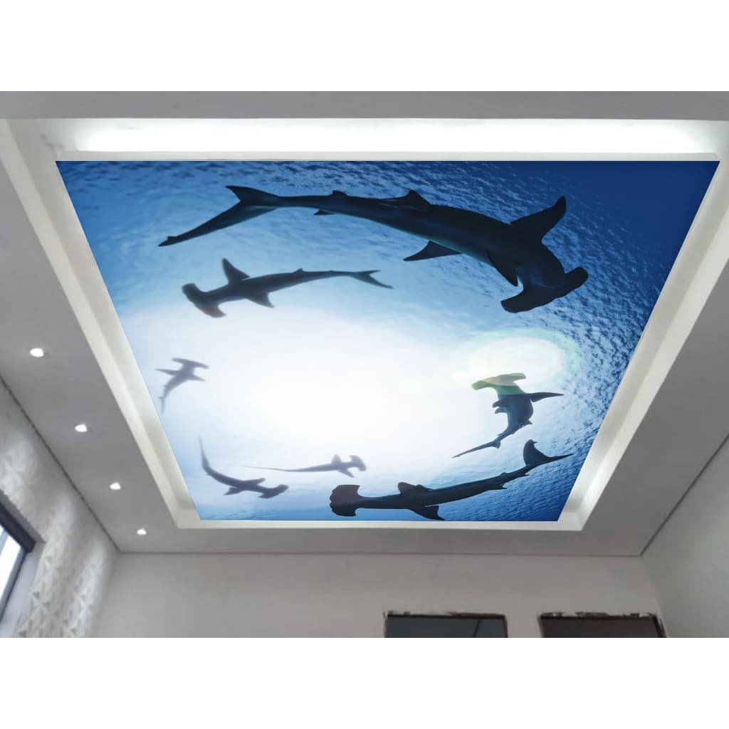 Papel de Parede de Teto - Adesivo Decorativo Para Teto - Painel Fotográfico Espaço Universo Paisagem Céu Galaxia ROF - 089