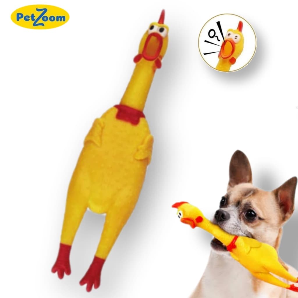 Galinha Pet Frango Borracha Mordedor Cachorro Pet Faz Barulho 16cm  Pet dog filhote