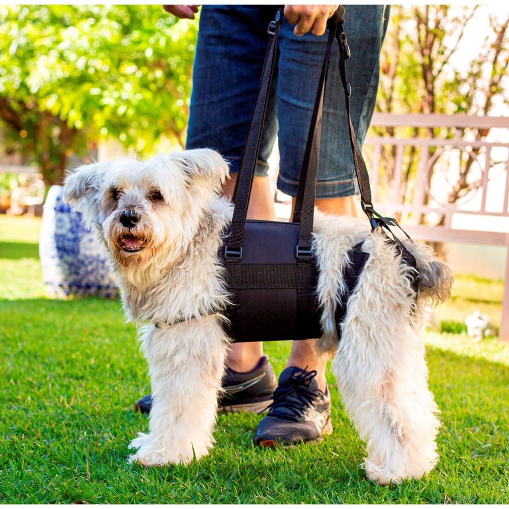 Peitoral com suporte das patas traseiras para Pets com deficiência para andar, cor preta