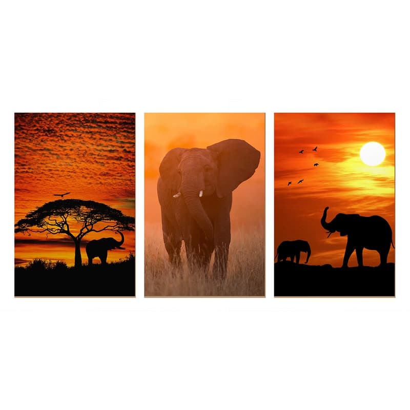 Trio de Quadros Decorativos Paisagem África Eleante