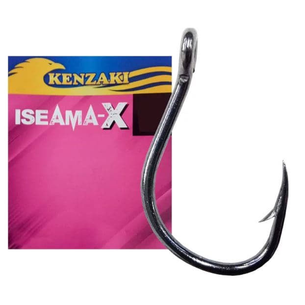 ANZOL KENZAKI ISEAMA-X N°9 C/10UN