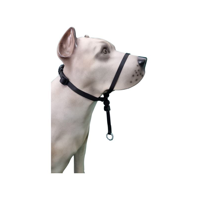 Coleira Cabresto Sem Guia K-9 Spirit Reforcada