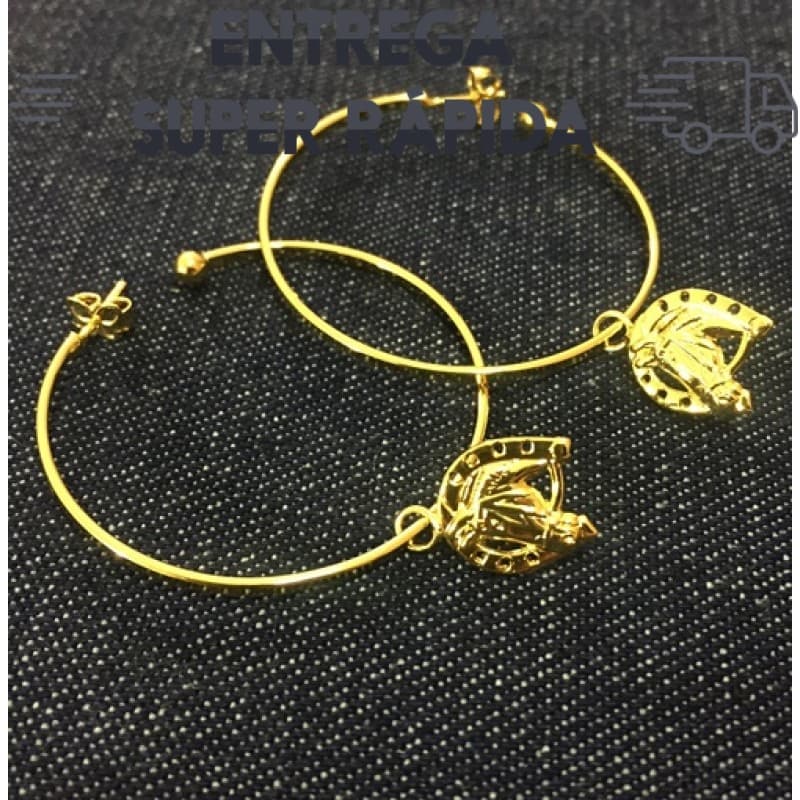 Brinco Argola e pingente Cavalo Ferradura banhado a outro