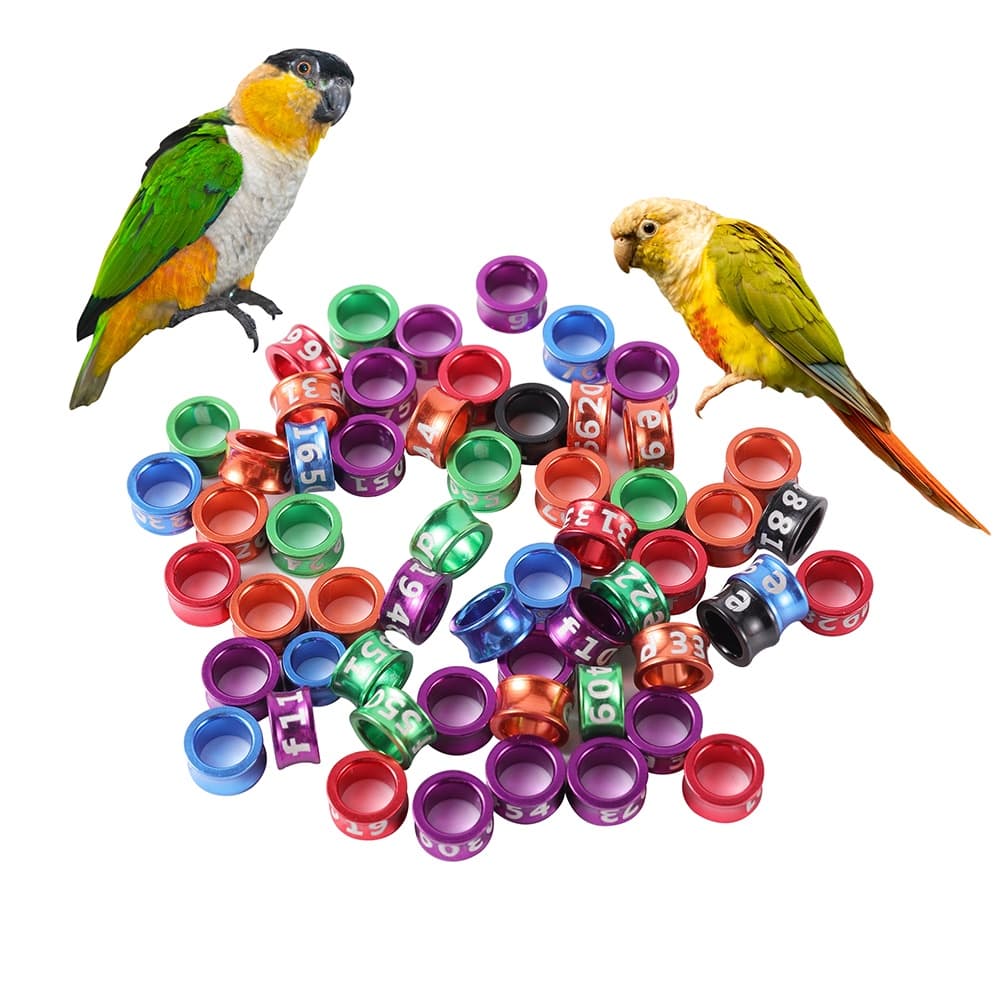 100pçs Anel De Faixa De Aves 4mm/4,7mm/5mm/6mm/7mm De Amor Africano , keets E Perna De Carretel Banir Papagaio Cor Número Aleatório