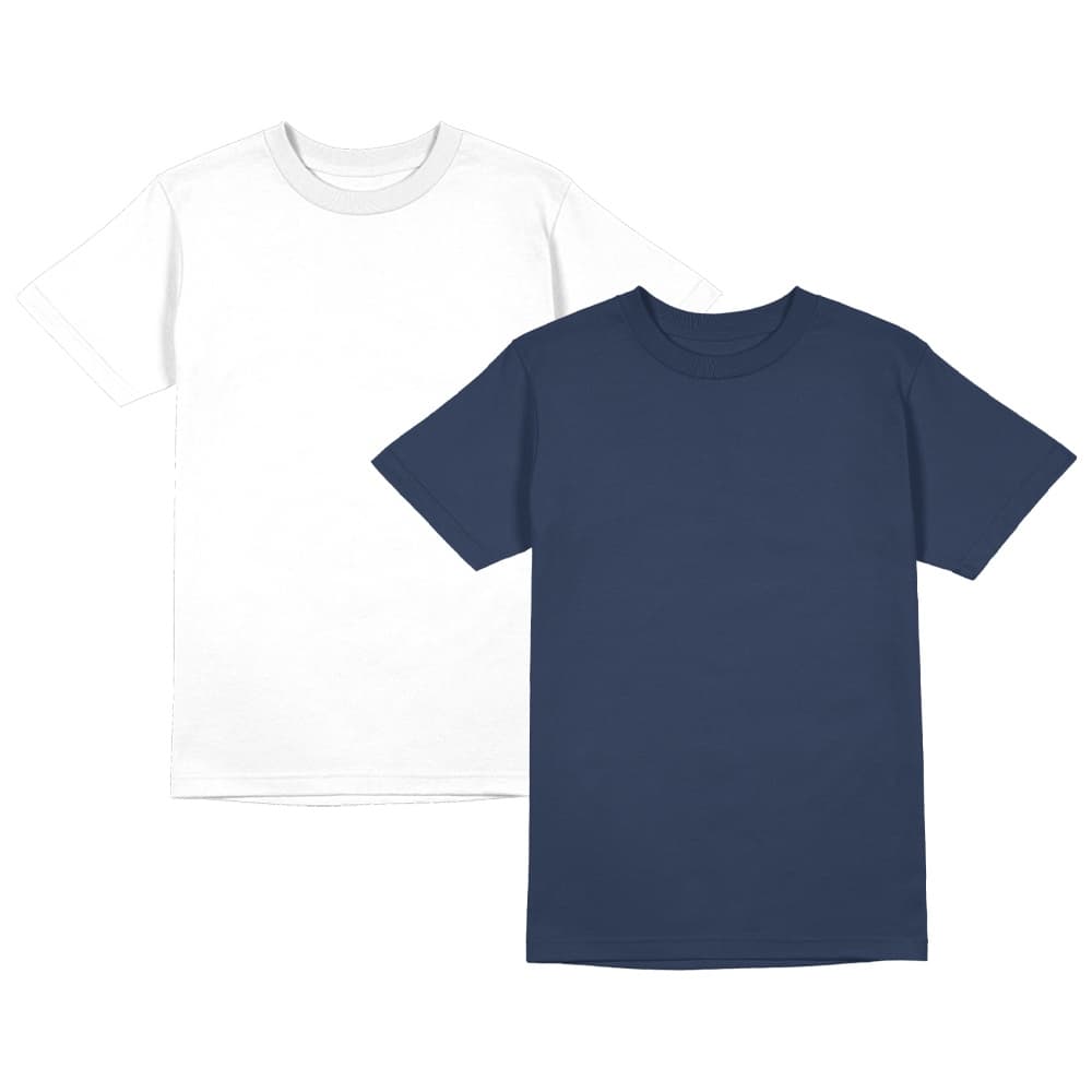 Kit 2 Camiseta Masculina Dry Fit Toque de Algodão Camisa Blusa Treino Academia Tshirt Esporte Camisetas