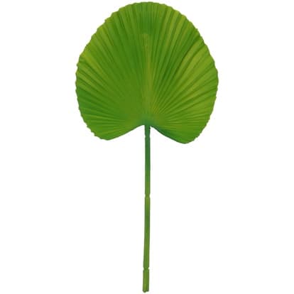 Kit Folhagem Folha Latânia 36cm 3 Un. Flores Artificial