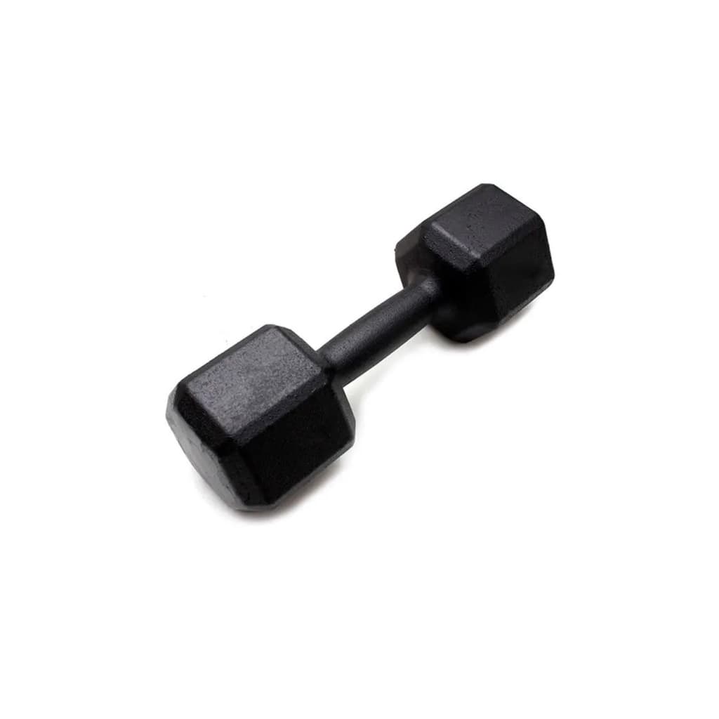 DUMBBELL SEXTAVADO PINTADO 30KG - UNIDADE | INICIATIVA FITNESS