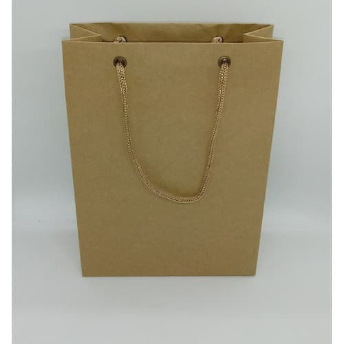 Sacolas Presente / lojas - Papel Kraft 110 Grs./ branca / Reciclato - 34.5 X 37.5 X 9 com Ilhós = Kit com 30 unidades