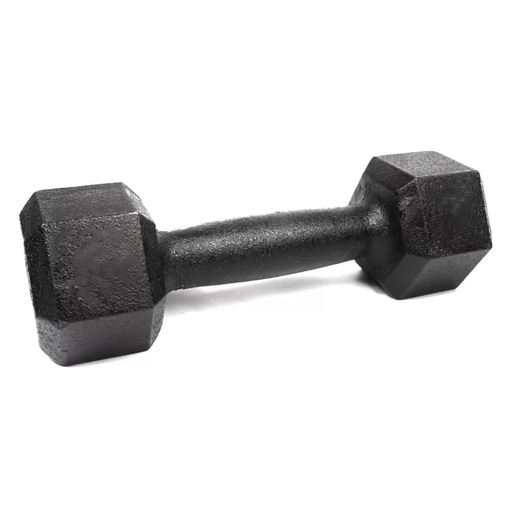 Halter Sextavado 2kg Pintado - Unidade Treino em Casa Academia Musculação Crossfit e Funcional