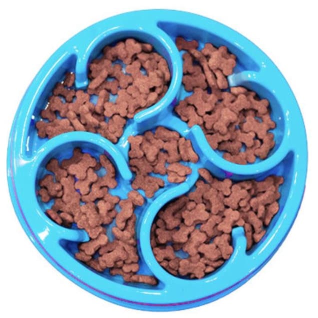 Comedouro Lento para Cachorro