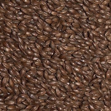 Malte Maltear Chocolate 1Kg