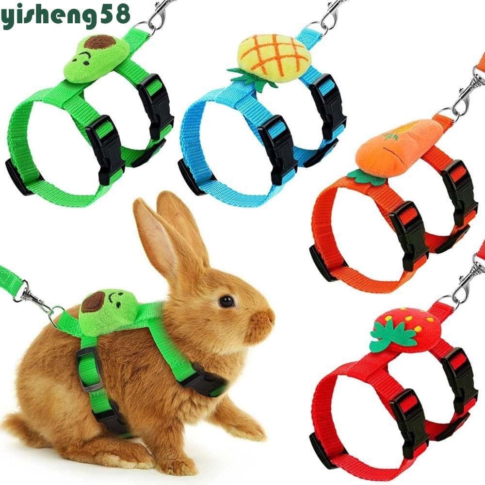 YISHENG Conjunto De Coleira Para Coelho , Furões Ajustáveis , Piggies , Ouriços Com Fivela Segura , Cinto Caminhada Ao A