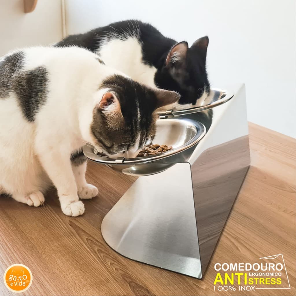 Comedouro duplo em inox para gato elevado