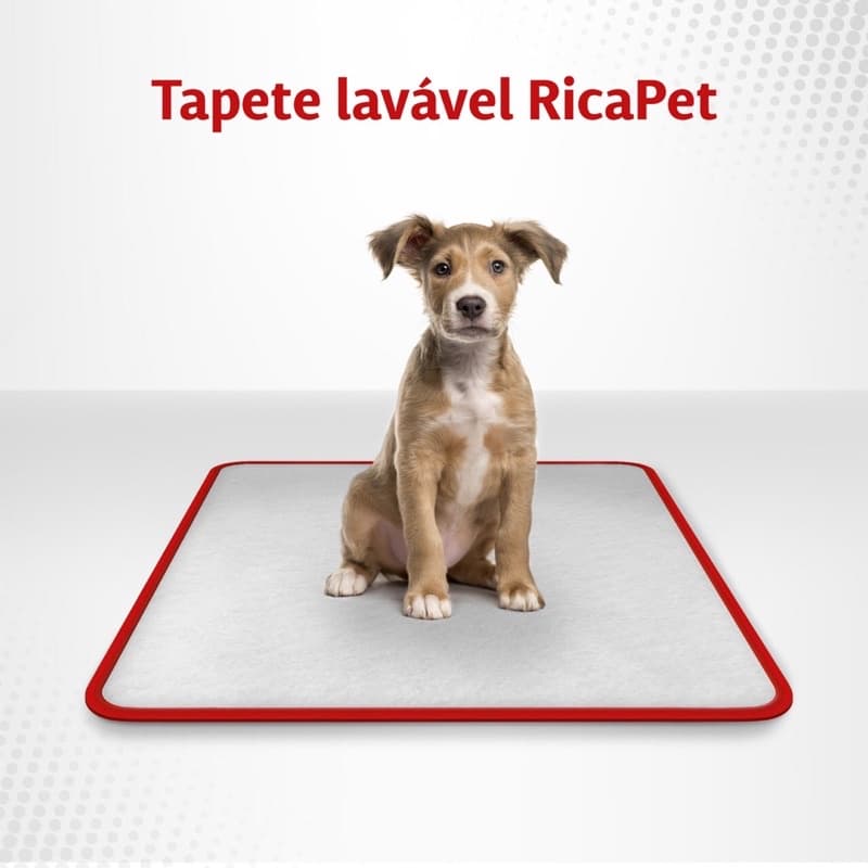 Tapete Higiênico Lavável Para Cães - P 60x50 - Vermelho