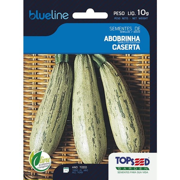 Sementes de Abobrinha de Tronco Italiana Caserta 10 Gramas Saladas Horta