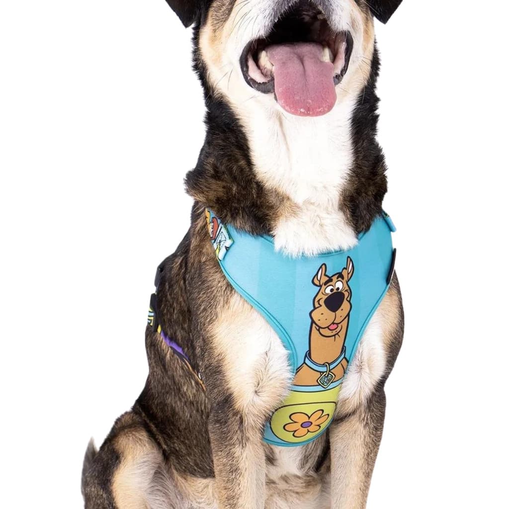 Coleira Peitoral Para Cachorro Freefaro Scooby Nova Coleção